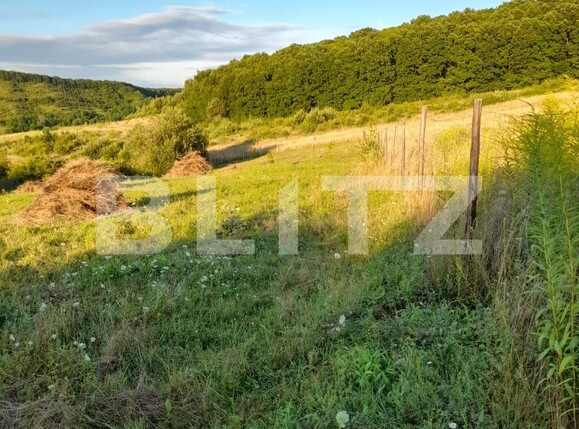 Teren de vânzare Corunca - 137024TV | BLITZ Târgu Mureș | Poza2