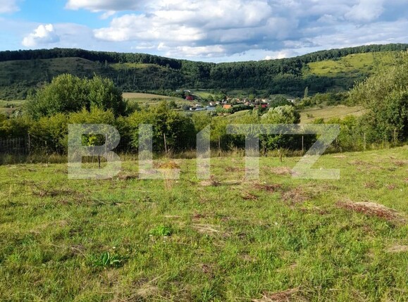 Teren de vânzare Corunca - 137024TV | BLITZ Târgu Mureș | Poza1