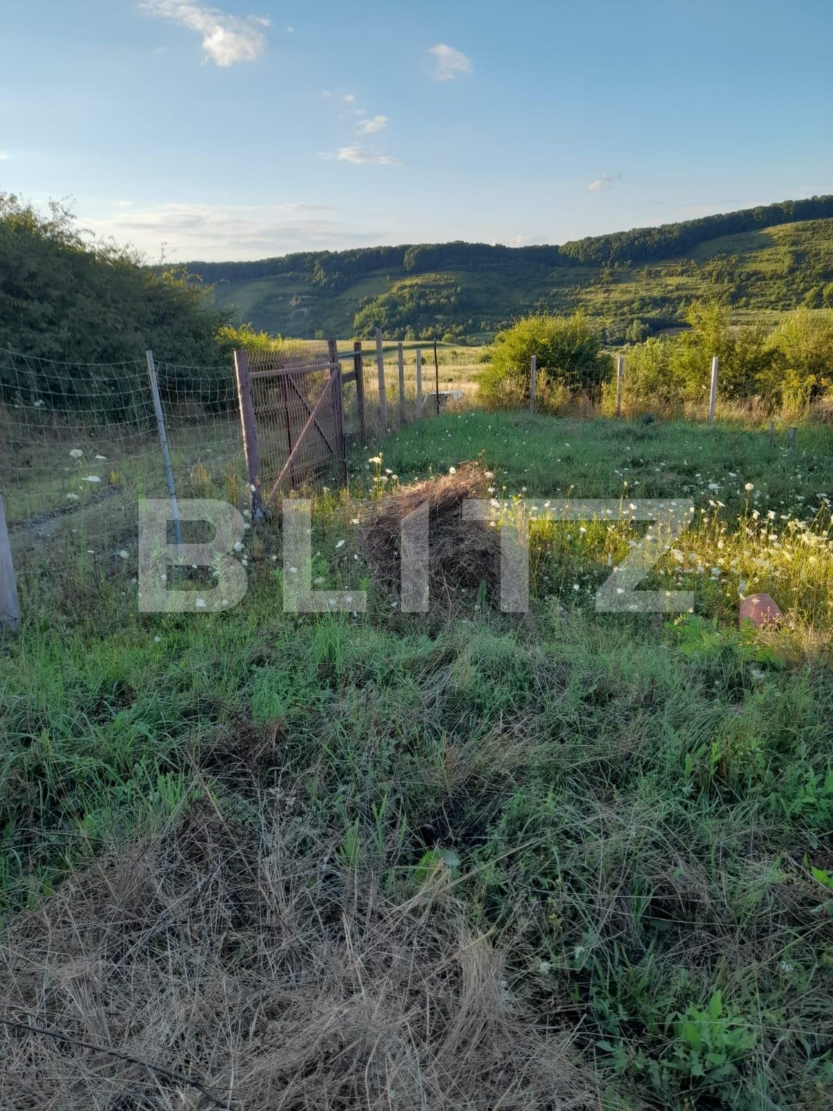 Teren de vânzare Corunca - 137024TV | BLITZ Târgu Mureș | Poza4