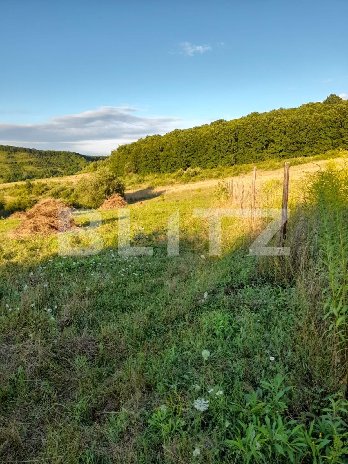 Teren de vânzare Corunca - 137024TV | BLITZ Târgu Mureș | Poza2