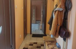 Apartament cu 1 cameră,  40mp, zona Mureșeni