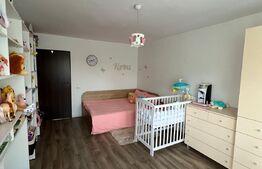 Casa cu 4 camere,198 mp utili + 350 mp teren,Corunca