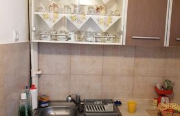 Garsoniera 28mp , Mureseni 