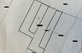 2 case cu 3 camere, 610 mp de teren, zona semicentral
