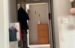 Apartament cu 3 camere, 52mp,  zona Dâmbu-Pietros