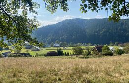 Teren de 1,4 h, zona  Lunca Bradului