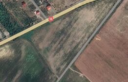 Teren de Vanzare , intravilan , zona  REGHIN ,43.200 mp 