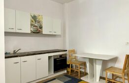 Garsoniere de vanzare 20mp fiecare , in zona TCM  UMF 