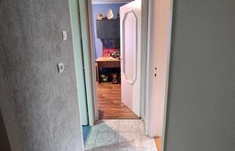 Apartament 3 camere,68mp, zona Dambu