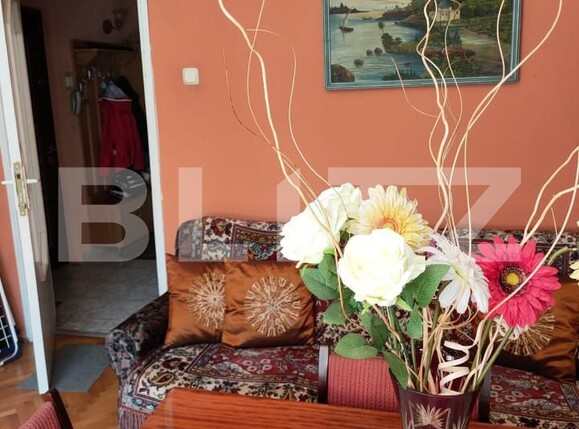 Apartament de vânzare 3 camere Dambu Pietros - 139517AV | BLITZ Târgu Mureș | Poza2