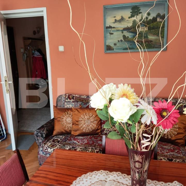 Apartament de vânzare 3 camere Dambu Pietros - 139517AV | BLITZ Târgu Mureș | Poza3