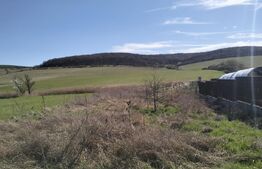 Teren de vânzare Livezeni - 163148TV | BLITZ Târgu Mureș | Poza4