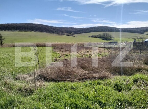 Teren de vânzare Sângeorgiu de Mureș - 139603TV | BLITZ Târgu Mureș | Poza2