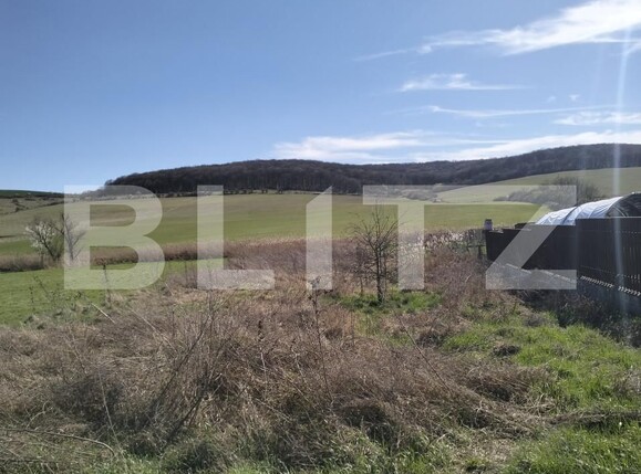 Teren de vânzare Sângeorgiu de Mureș - 139603TV | BLITZ Târgu Mureș | Poza1