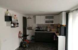 Casa de 2 camere , 100mp, zona Sancraiu de Mures 