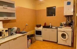 Case ,225mp, 45mp, 5 camere , zona Remetea