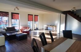 Case ,225mp, 45mp, 5 camere , zona Remetea