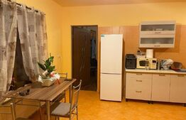 Case ,225mp, 45mp, 5 camere , zona Remetea