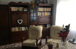 Doua case, 490mp,  zona Libertății