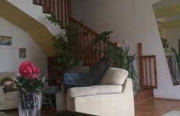 Doua case, 490mp,  zona Libertății