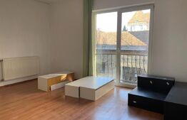 Casa cu 10 camere, 300mp, Centru