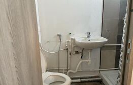 Casa cu 10 camere, 300mp, Centru