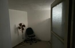 Casa cu 10 camere, 300mp, Centru