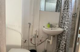 Casa cu 10 camere, 300mp, Centru