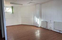 Casa cu 10 camere, 300mp, Centru