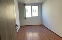 Casa cu 10 camere, 300mp, Centru