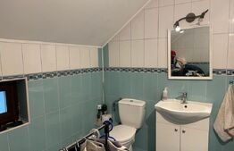 Casa cu 4 camere, 210 mp, zona Unirii