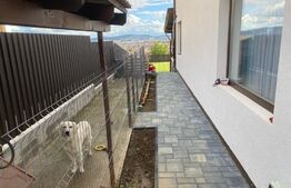 Casa 4 camere, 138mp, zona Unirii