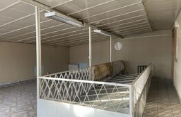 Casa cu 12 camere, 350 mp, 7 Noiembrie