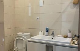 Casa cu 12 camere, 350 mp, 7 Noiembrie