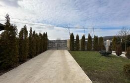 Casă de 454 mp, teren de 1000 mp, Livezeni