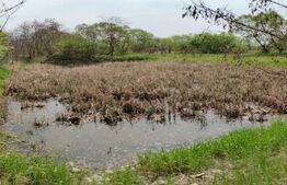 Teren extravilan, 12500mp, zona Gurghiu