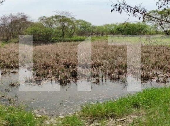 Teren de vânzare Exterior Est - 141259TV | BLITZ Târgu Mureș | Poza3