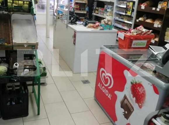 Spațiu comercial de închiriat Aleea Carpati - 141307SIC | BLITZ Târgu Mureș | Poza5