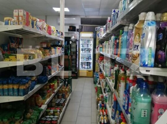 Spațiu comercial de închiriat Aleea Carpati - 141307SIC | BLITZ Târgu Mureș | Poza2