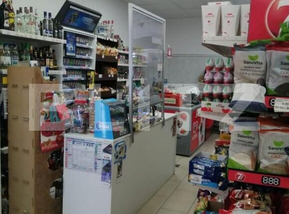 Spațiu comercial de închiriat Aleea Carpati - 141307SIC | BLITZ Târgu Mureș | Poza6