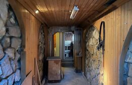 Casa cu 3 camere, 170mp, Centru