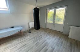 Casă de vânzare 5 camere, cu o suprafață 250 mp, zonă liniștită