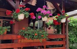 Casa 4 camere, 175 mp, Unirii