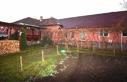 Casa 4 camere, 175 mp, Unirii