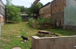 Casa 5 camere, 95mp, zona Dambu