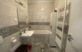 Apartament cu o camera, 40mp, parter, Maurer