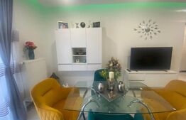 Apartament cu o camera, 40mp, parter, Maurer