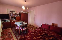 Apartament de 3 camere, 55 mp, ideal pentru o familie, zona Dâmbu