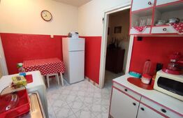 Apartament de 3 camere, 55 mp, ideal pentru o familie, zona Dâmbu