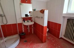 Apartament cu o camera+dependinte in curte comuna